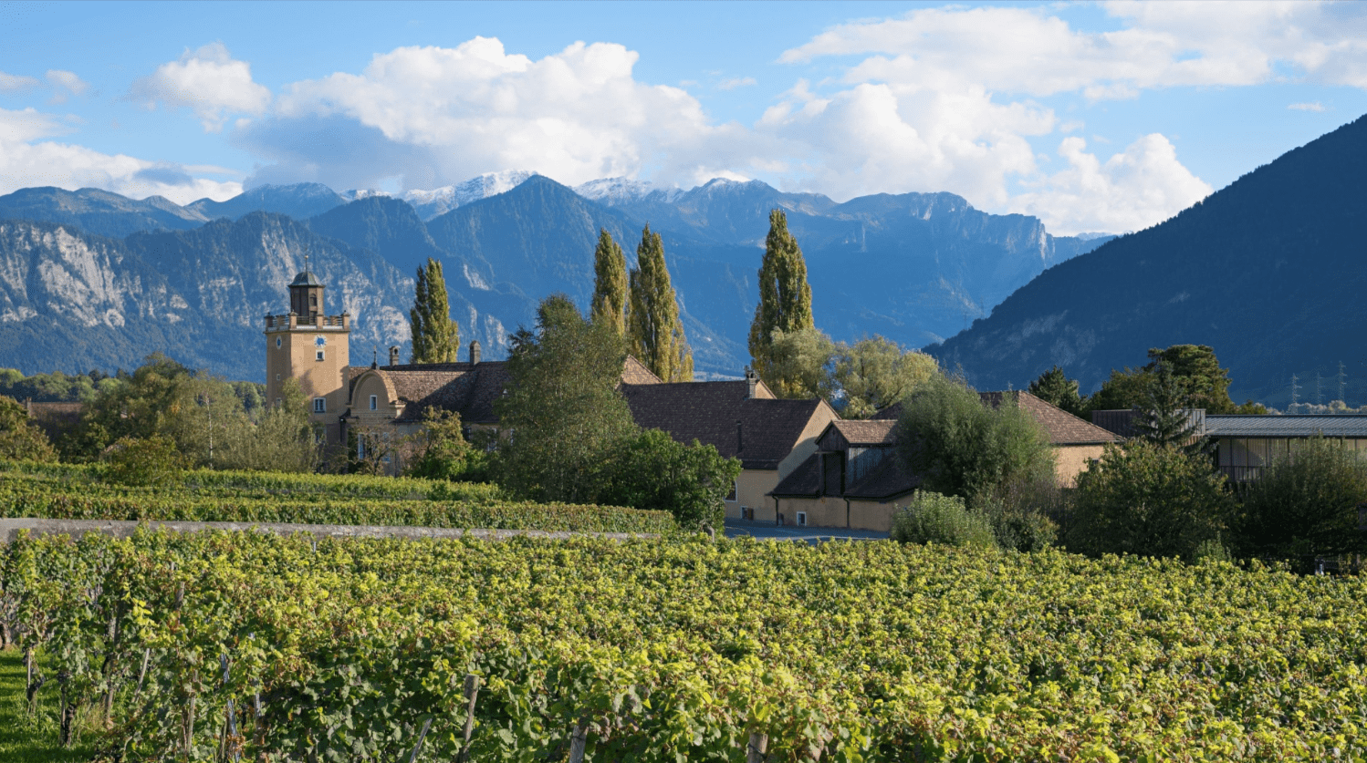 Wine Tasting in Maienfeld and Exploring More Than Just Heidi’s Home